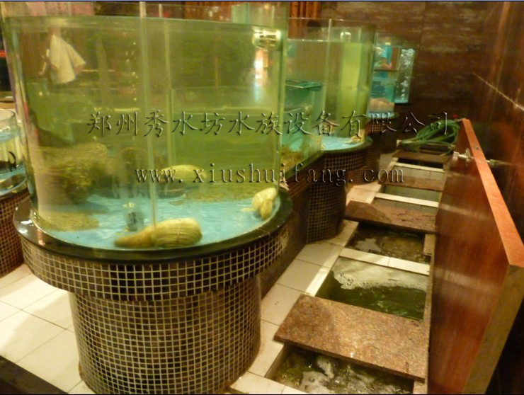 郑州澳门豆捞酒店大堂定做海鲜池水族工程的近景图