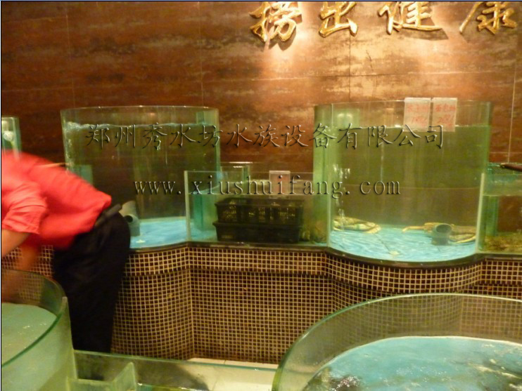 郑州澳门豆捞酒店定做的海鲜池水族工程的近景